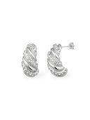 SHINY CROISSANT Earrings