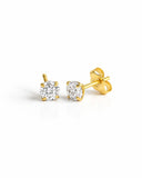 SHINY Studs