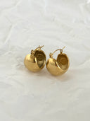 BOLDY (NEW) Hoops